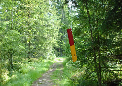 Waymark in trees.