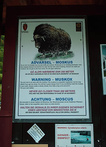 The Muskox, Peaceful Vegetarian...