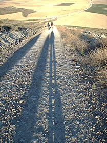 Camino shadows