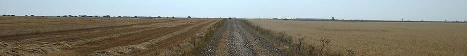 Camino
