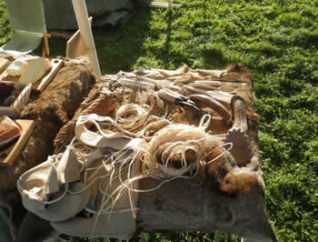 Guy Hagg's fire and life display at stonehenge